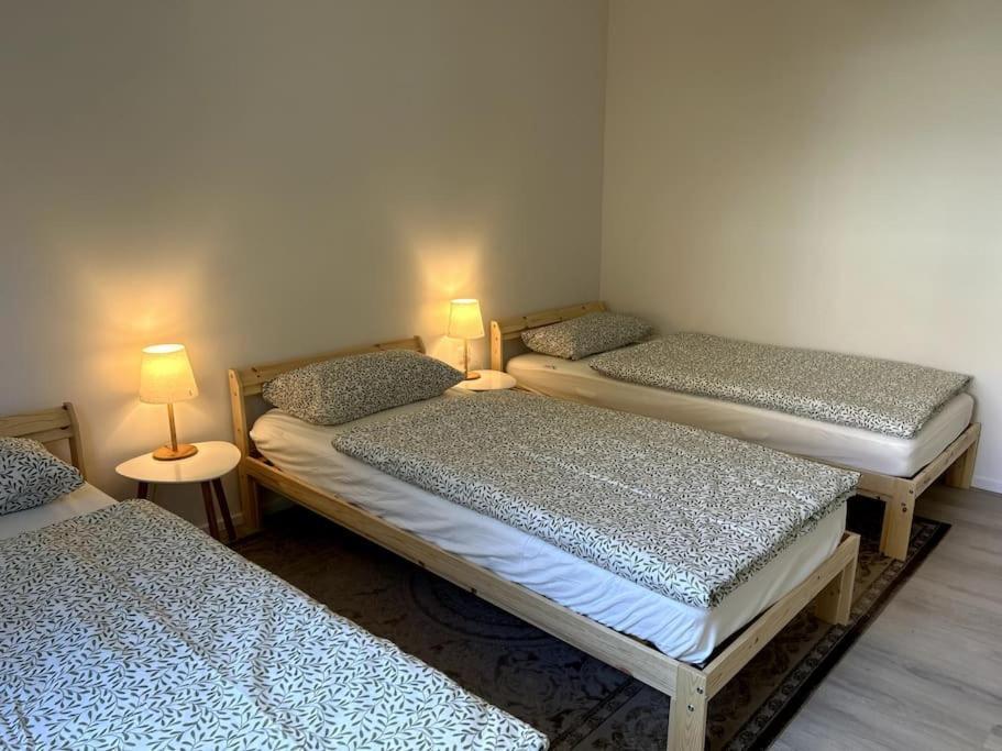 Country Style Apartment With Balcony Near Fair Hannover Buitenkant foto